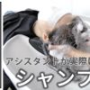 【基礎】シャンプー