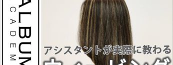 基礎 カラー ウィービング Album Academy Online アルバム アカデミー オンライン