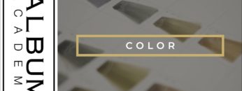 【HOYUコラボ3/5】カラー(NOBU)