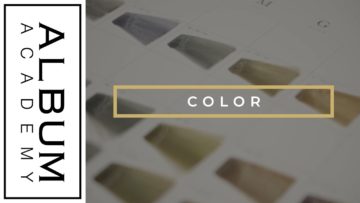 【HOYUコラボ3/5】カラー(NOBU)