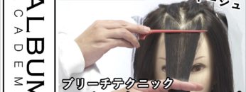 【ALBUMパーフェクトガイド】バックコーミングとセクション塗り分け〜ブリーチテクニック〜(桑原)