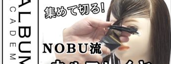 【ALBUMパーフェクトガイド】集めて切るウルフレイヤー(NOBU)