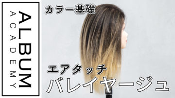 バレイヤージュ2021色なし