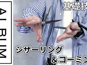 シザーリング色なし