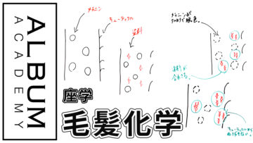 毛髪化学色なし