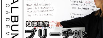 ブリーチサムネ色なし