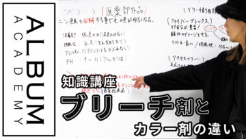 ブリーチサムネ色なし