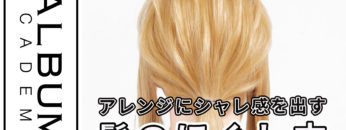 髪のほぐし方_色なし