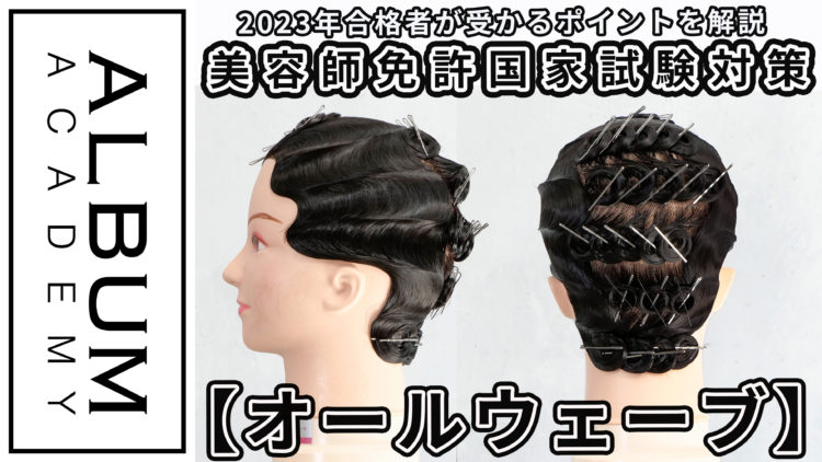 美容学生向け】国家試験対策_オールウェーブ(2023) | ALBUM ACADEMY 