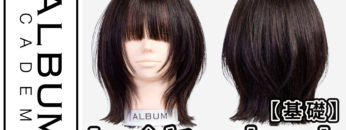 レイヤーカット2024_色なし