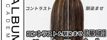 西村さんハイライト_色なし