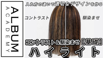 西村さんハイライト_色なし