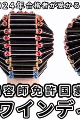 国家試験対策ワインディング2025_色なし