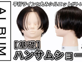 南さんハンサムショート_色なし