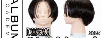 南さんハンサムショート_色なし