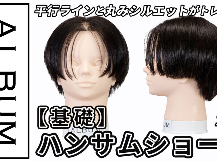 南さんハンサムショート_色なし