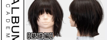 たいちさんボブウルフレイヤー_色なし