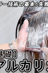 西村さんアルカリカラー全頭_色なし