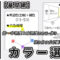 【基礎】カラー選定